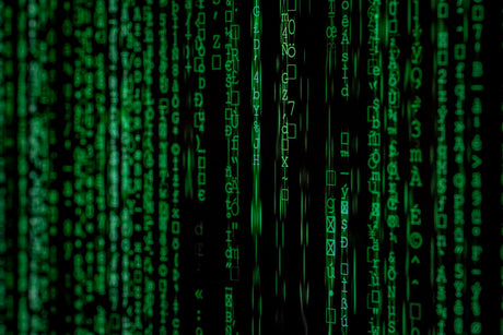 The Role of Technology in Sports Nutrition