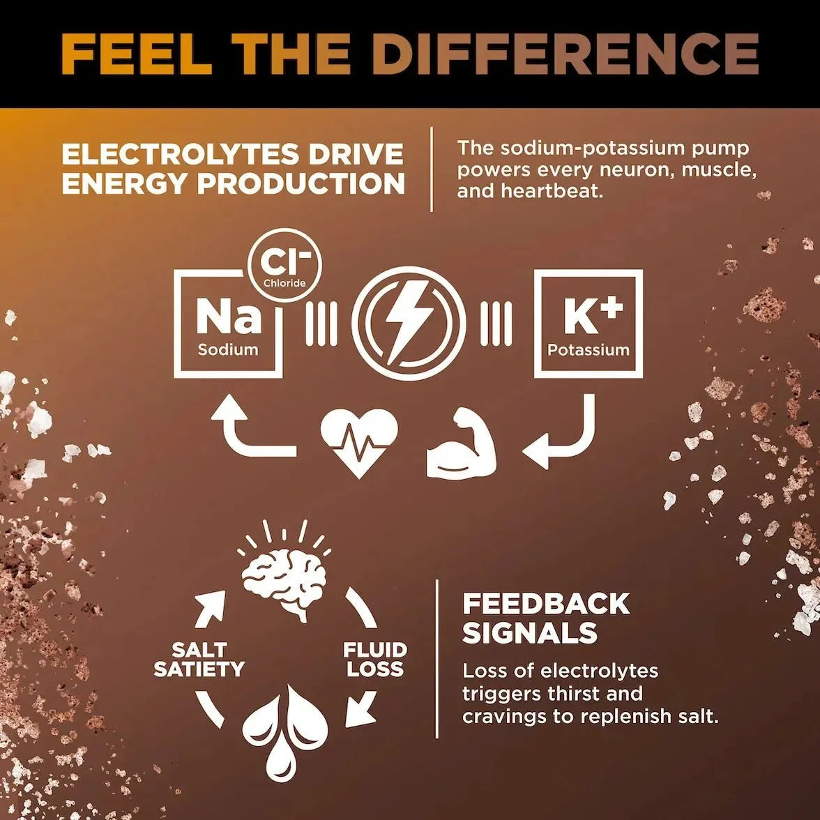Infographic explaining how electrolytes sodium, potassium, and chloride support energy production, muscle function, and thirst signals for LMNT Chocolate Caramel Electrolyte Mix - 30 Sticks by LMNT.
