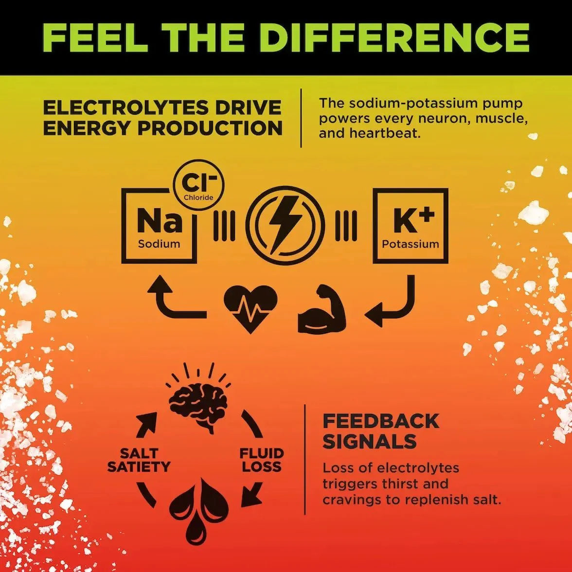 Informational graphic explaining how electrolytes sodium, potassium, and chloride support energy production and feedback signals for LMNT Mango Chilli Electrolyte Mix - 30 Sticks by LMNT.