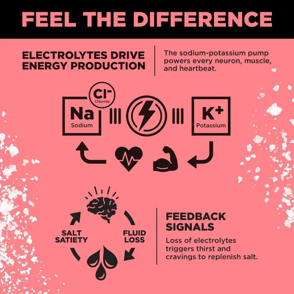 Infographic for LMNT Raspberry Salt Electrolyte Mix - 30 Sticks by LMNT explaining how sodium, potassium, and chloride electrolytes support energy production, muscle function, and thirst signals.