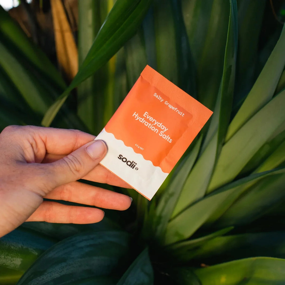 Salty Grapefruit - 30 Sachets by Sodii held in hand against green leafy background, Drinks and Electrolytes collection