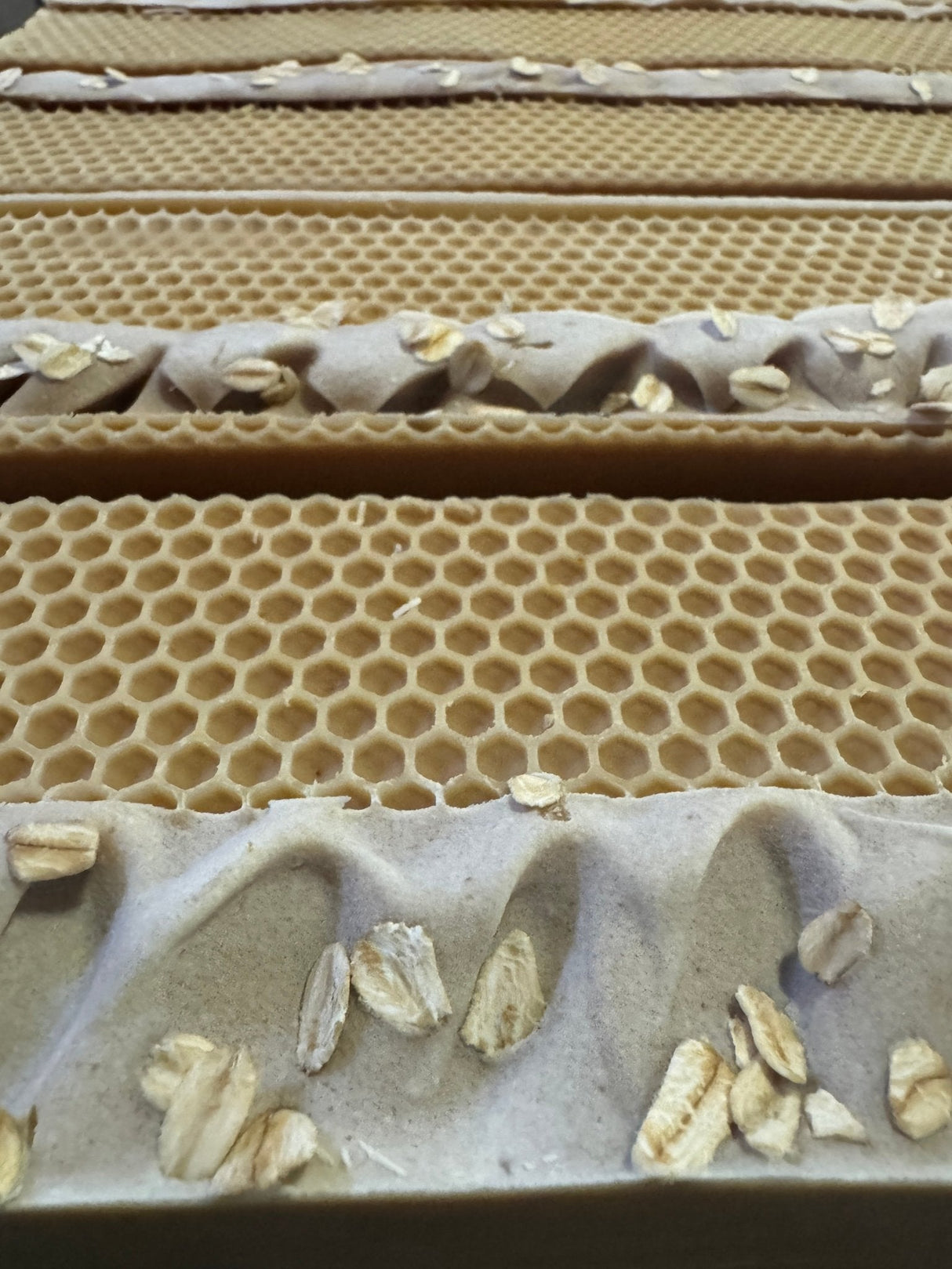 Unapologetically Naked Tallow Soap - 170g bars with honeycomb texture and oat flakes by The Bubble Jungle.