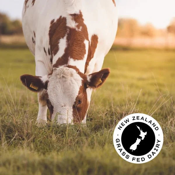 Brown and white cow grazing in a green pasture with New Zealand Grass Fed Dairy logo, related to WPI - Vanilla - 1kg