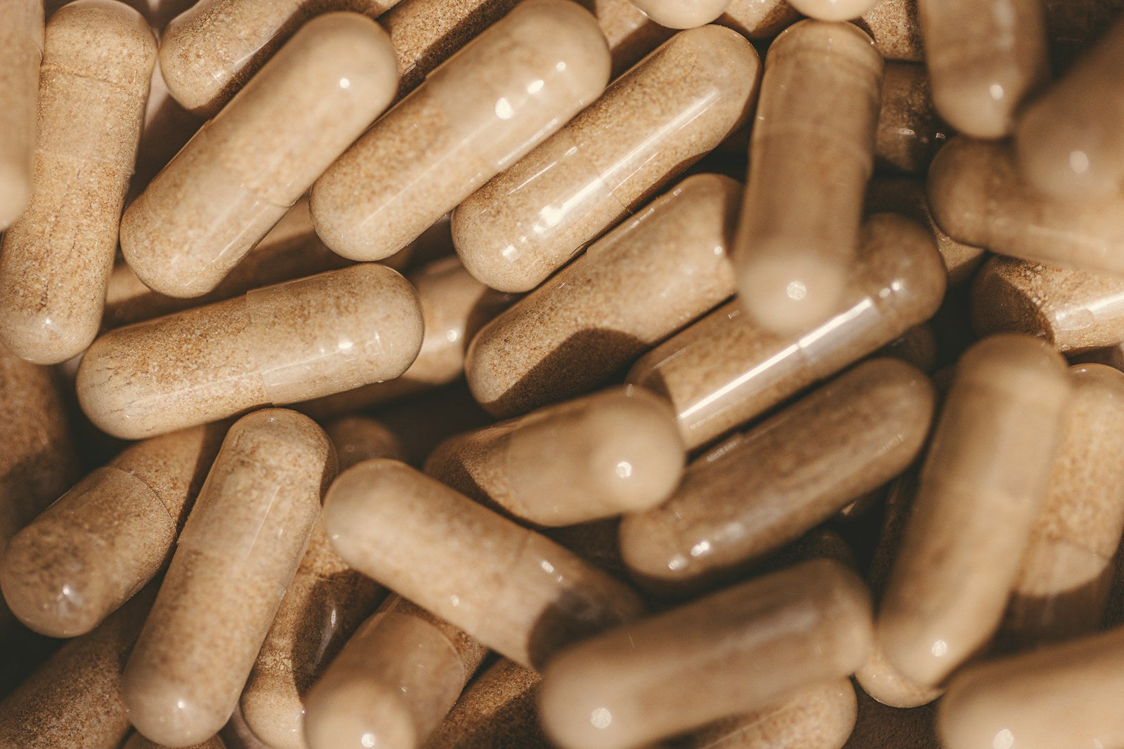 Protein Supplements