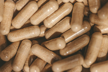 Protein Supplements