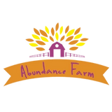 Abundance Farm logo with a sunburst design and ribbon banner for Baja Mineral Sea Salt - Fine - 454g product branding.