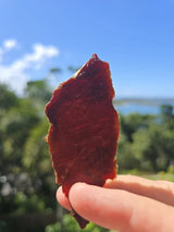 Beef Chips - Rosemary & Garlic - 40g - Best Before 17 Apr 2026 held up outdoors with blue sky and greenery behind.
