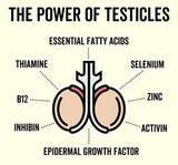 Grass Fed Bull Testicle Capsules - Yo Keto