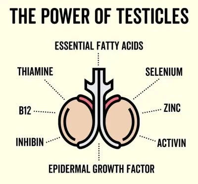 Grass Fed Bull Testicle Capsules - Sup Yo