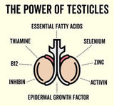 Grass Fed Bull Testicle Capsules - Sup Yo