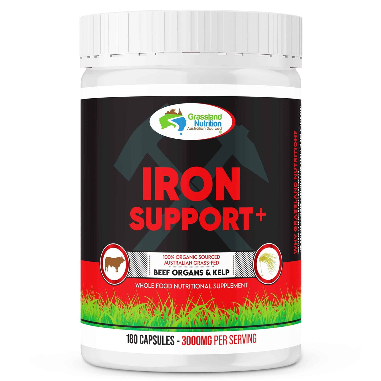Iron Support - 180 Capsules - Sup Yo
