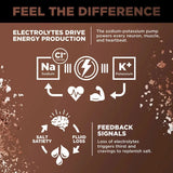 LMNT Chocolate Salt Electrolyte Mix - 30 Sticks