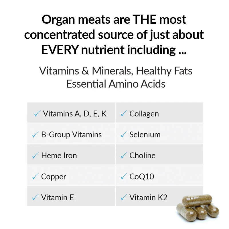 Primal Energy Women Grass - Fed Beef Organ Powder - Sup Yo