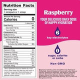 Raspberry Electrolyte Drink Mix - 90 Serves