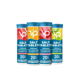 Venture Pal Salt Tablets - Variety Pack - 40 Serves with fast hydration electrolytes, multiple flavors, low carb functional drink.
