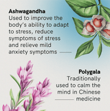 Stress & Anxiety with Ashwagandha - 60 Tablets
