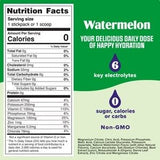 Watermelon Electrolyte Drink Mix- 90 Serves